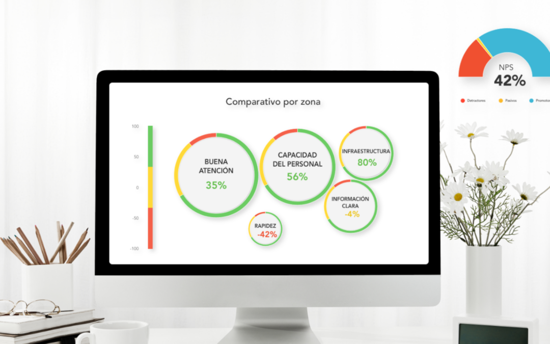 Reportes en tiempo real para tus encuestas